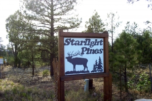 starlight-pines