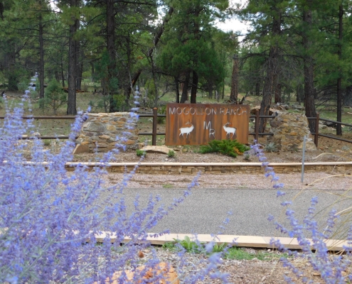 Best Entrance Mogollon Ranch
